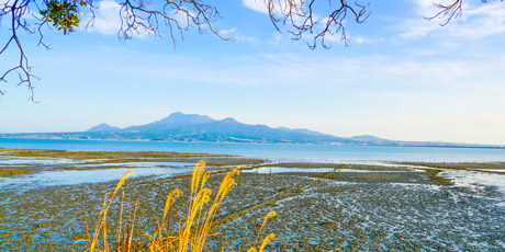 海と山の恵みを堪能、くつろぎのひとときを